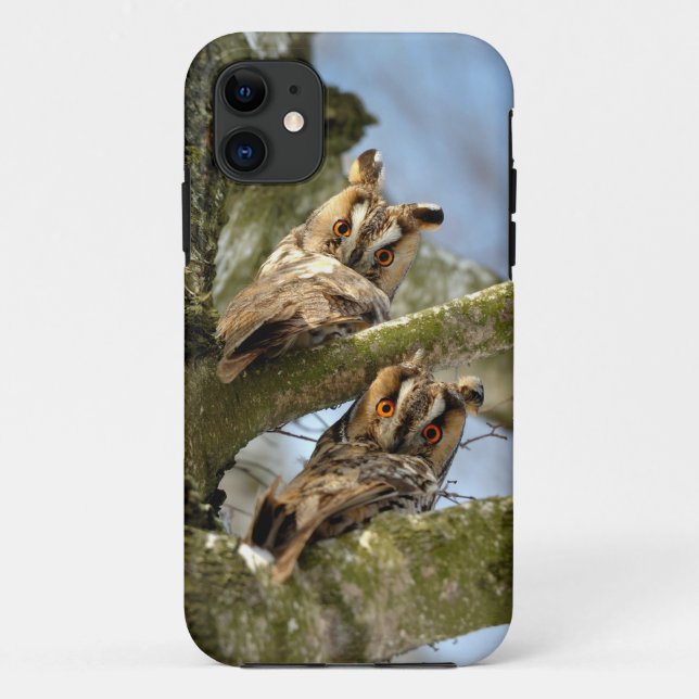 Case Mate i (Rückseite)