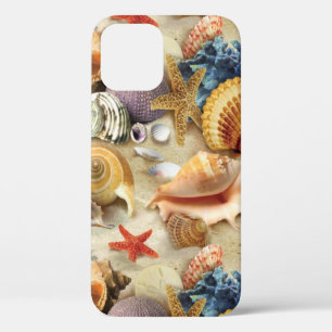 Coques de mer sur la plage