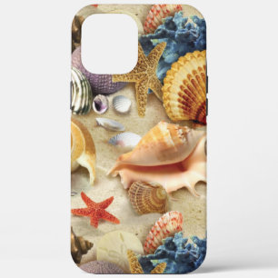 Coques de mer sur la plage