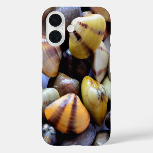 iPhone 16 Minuscules Coques Colorées