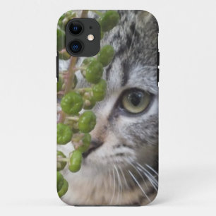 Case-Mate Pour iPhone Masquer Kitten EYE-Phone 5 Coque
