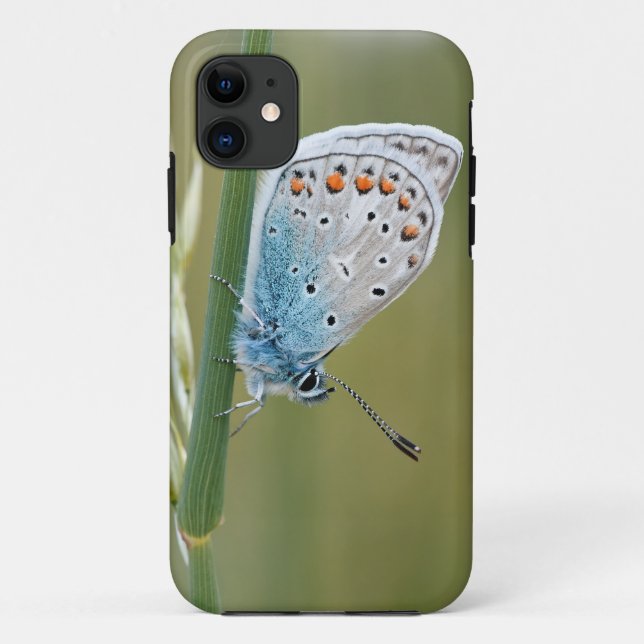 Case-Mate Tough Apple iPhone 11 Hülle (Rückseite)