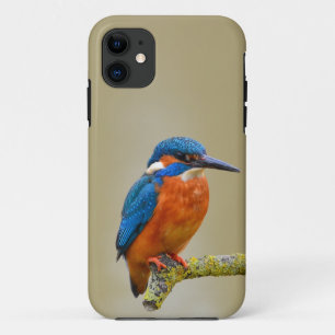 Case-Mate Tough Apple iPhone 11 Hülle