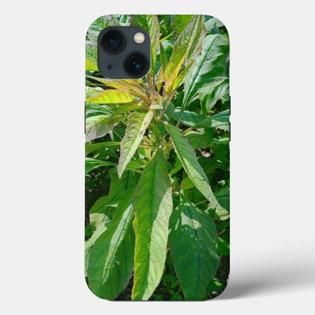 Case-Mate Tough Apple iPhone 13 Fall Hülle (Rückseite)