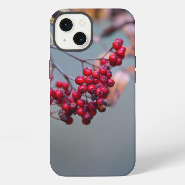 Case-Mate Tough Apple iPhone 13 Hülle (Rückseite)