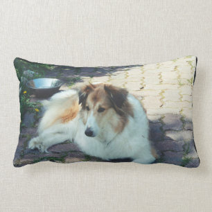 Casey Collie Lendenkissen