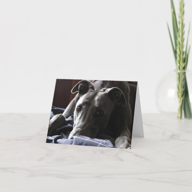 Casey, der Windhund Karte (Vorderseite)