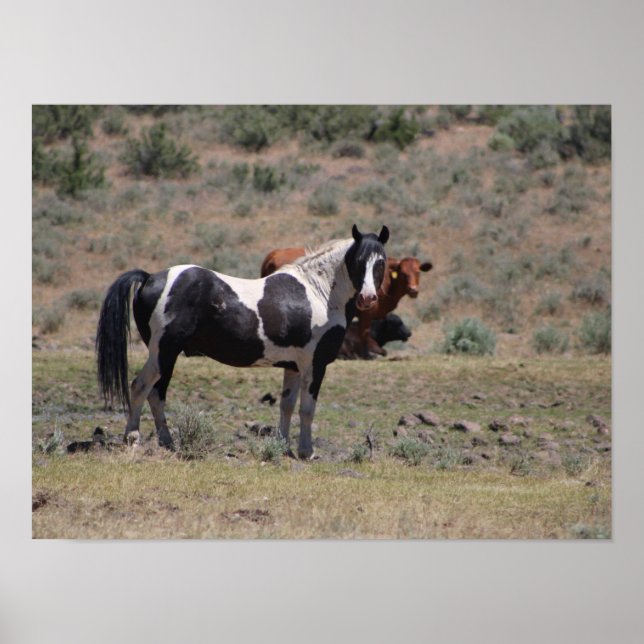 Casino Poster (Vorne)