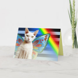 Casper Rainbow Fee | Devon Rex Cat Birthday Card Karte
