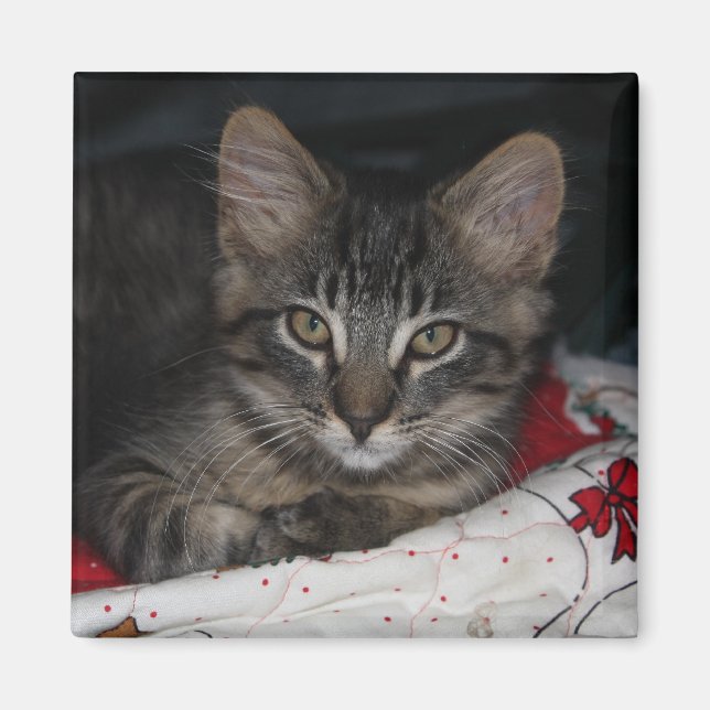Caspian Cozy Christmas Magnet (Vorne)
