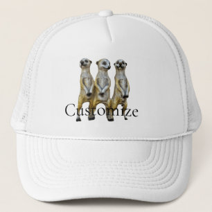 Casquette 3 Meerkats debats Thunder_Cove