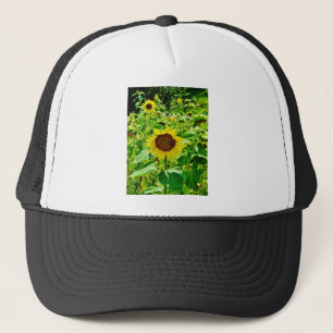 Casquette Abeille sur tournesol jaune