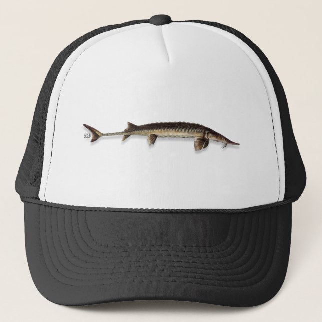 Casquette acigifts@yahoo.com - Casquette/Casquette - STURGEO (Devant)