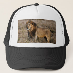 Casquette African Lion
