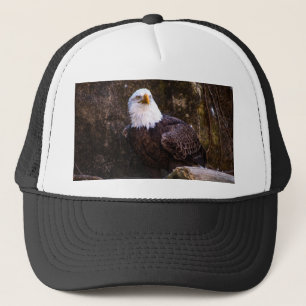 Casquette Aigle de Bald