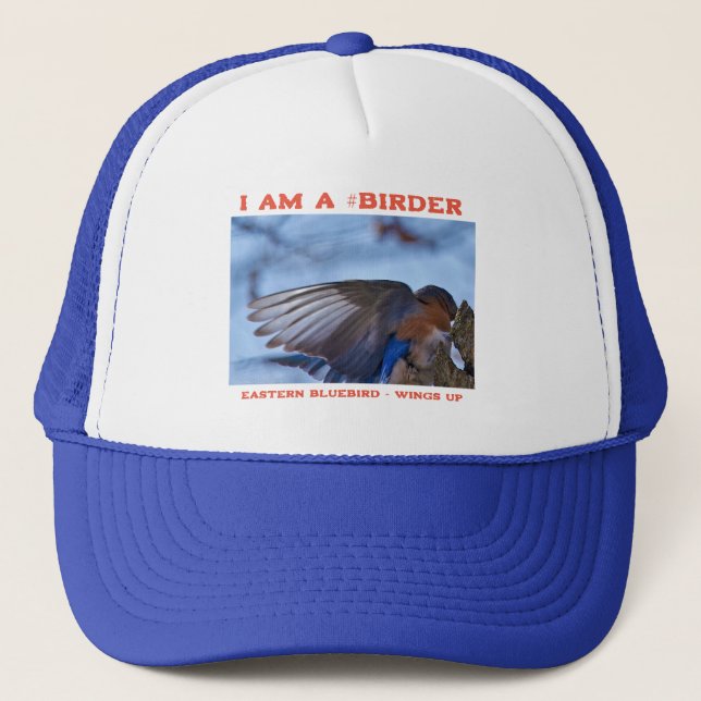 Casquette Ailes vers l'Est Oiseau de bleuet (Devant)