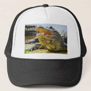 Casquette Alligator. Face à face