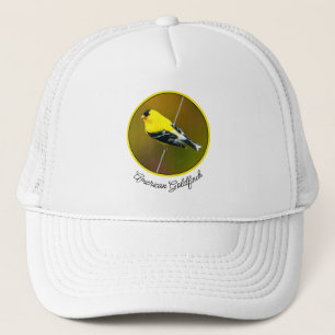 Casquette American Goldfinch - Photo originale