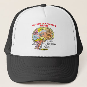 CASQUETTE ANATOMIE DU CERVEAU D'UN AGRICULTEUR