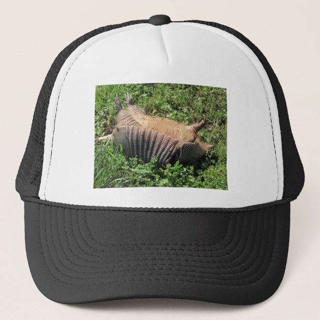 Casquette Animaux écrasés de tatou - Dasypodidae (Devant)