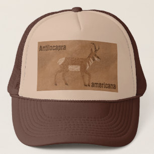 Casquette Antelope du sud-ouest de Pronghorn
