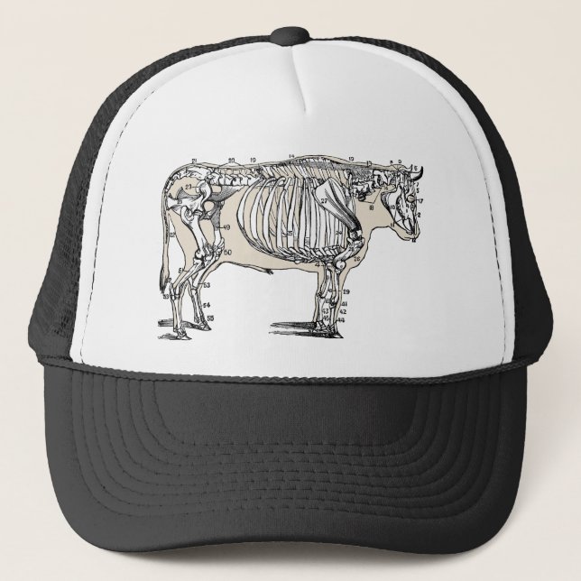 Casquette Antique Cow Skeleton Bones (Devant)