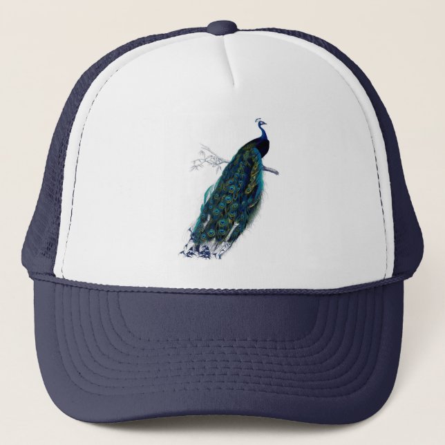 Casquette Antique Histoire naturelle Imprimer Peacock (Devant)