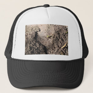 Casquette Ants Go Marching