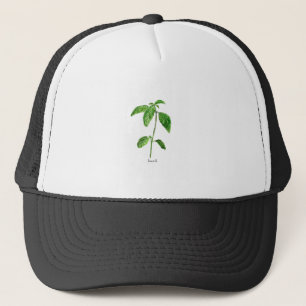 Casquette Aquarelle du jardin des herbes vertes Basil