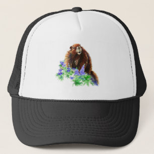 Casquette Aquarelle Marmotte Marmotte Faune Nature Art