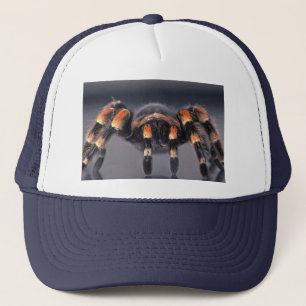 Casquette Araignée effrayante de tarentule