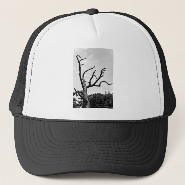 Casquette arbre libre (Devant)