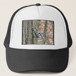 Casquette Ardoise Gris Nuthatch Songbird Articles Coordonnés