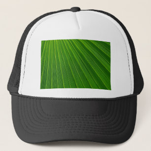 Casquette Arrière - plan Abstrait vert