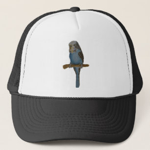 Casquette Art bleu de perruche