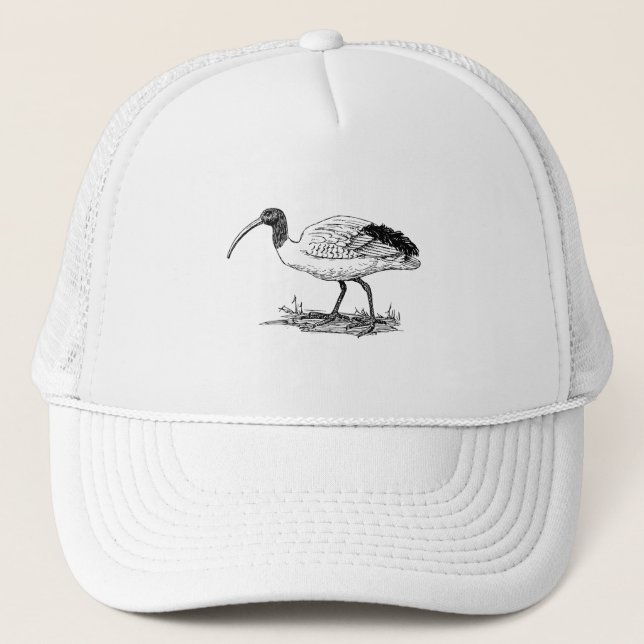 Casquette Art d'oiseau d'IBIS (Devant)