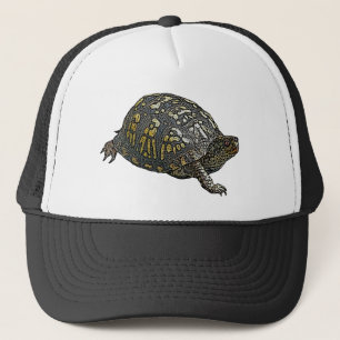 Casquette Articles coordonnés orientaux de tortue de boîte