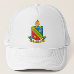 CASQUETTE ASA DLI 1