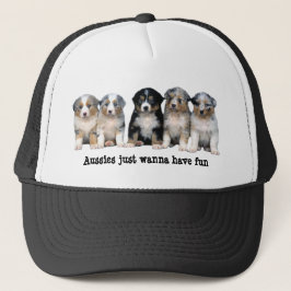 Casquette australien de chiots de berger