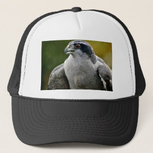 Casquette Autour du nord
