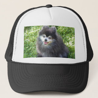 casquette avec photo Poméranie originale