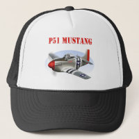 Avion Argent-Rouge du mustang P51