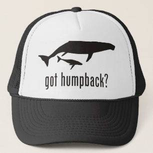 Casquette Baleine de bosse