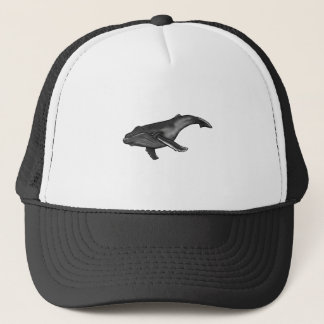 Casquette baleine de bosse