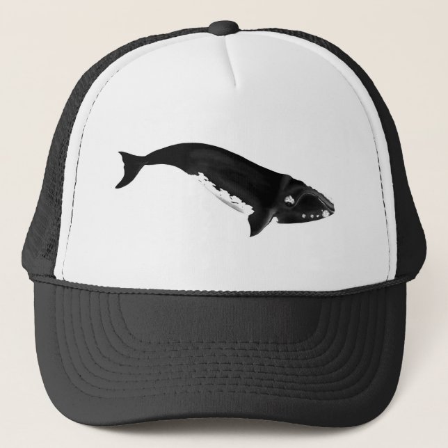 CASQUETTE BALEINE DU SUD DROIT (Devant)