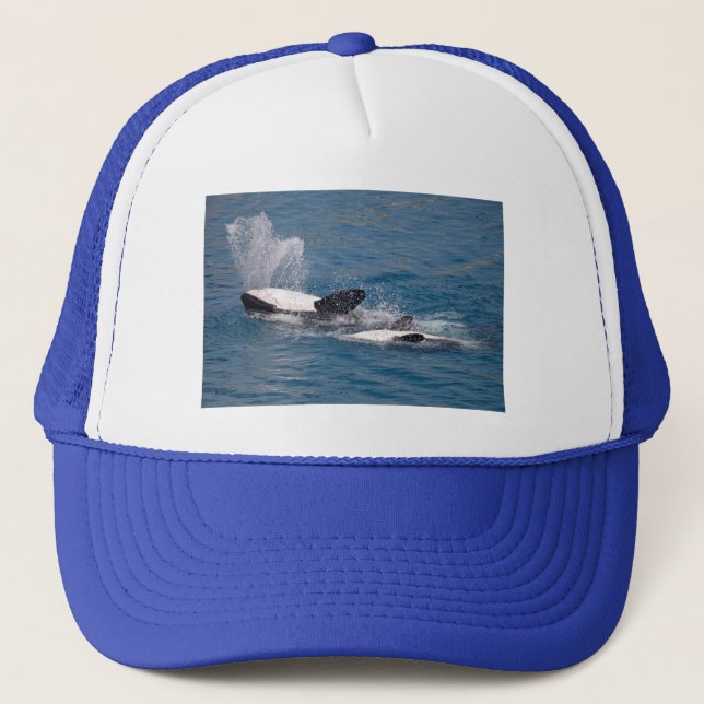 Casquette Baleines tueuses à l'arrière (Devant)