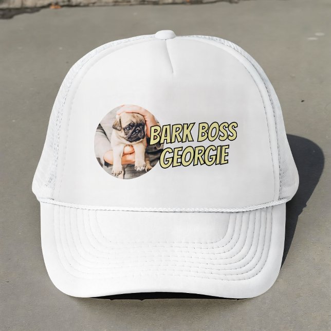 Casquette Barre Boss Animaux de compagnie Photo Moderne Simp (Créateur téléchargé)