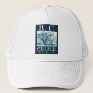 CASQUETTE BC SWEETTOOTH INDICA