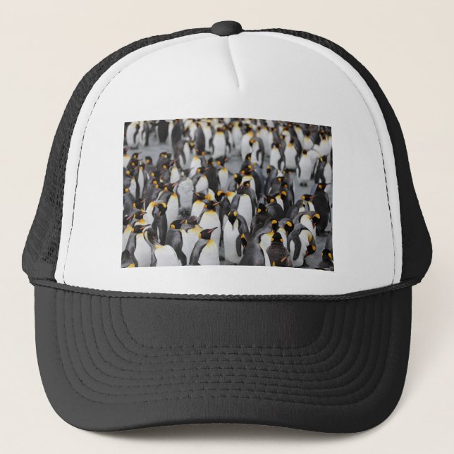 Casquette Beaucoup de Pengions (Devant)