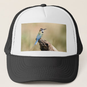 Casquette Bee-eater